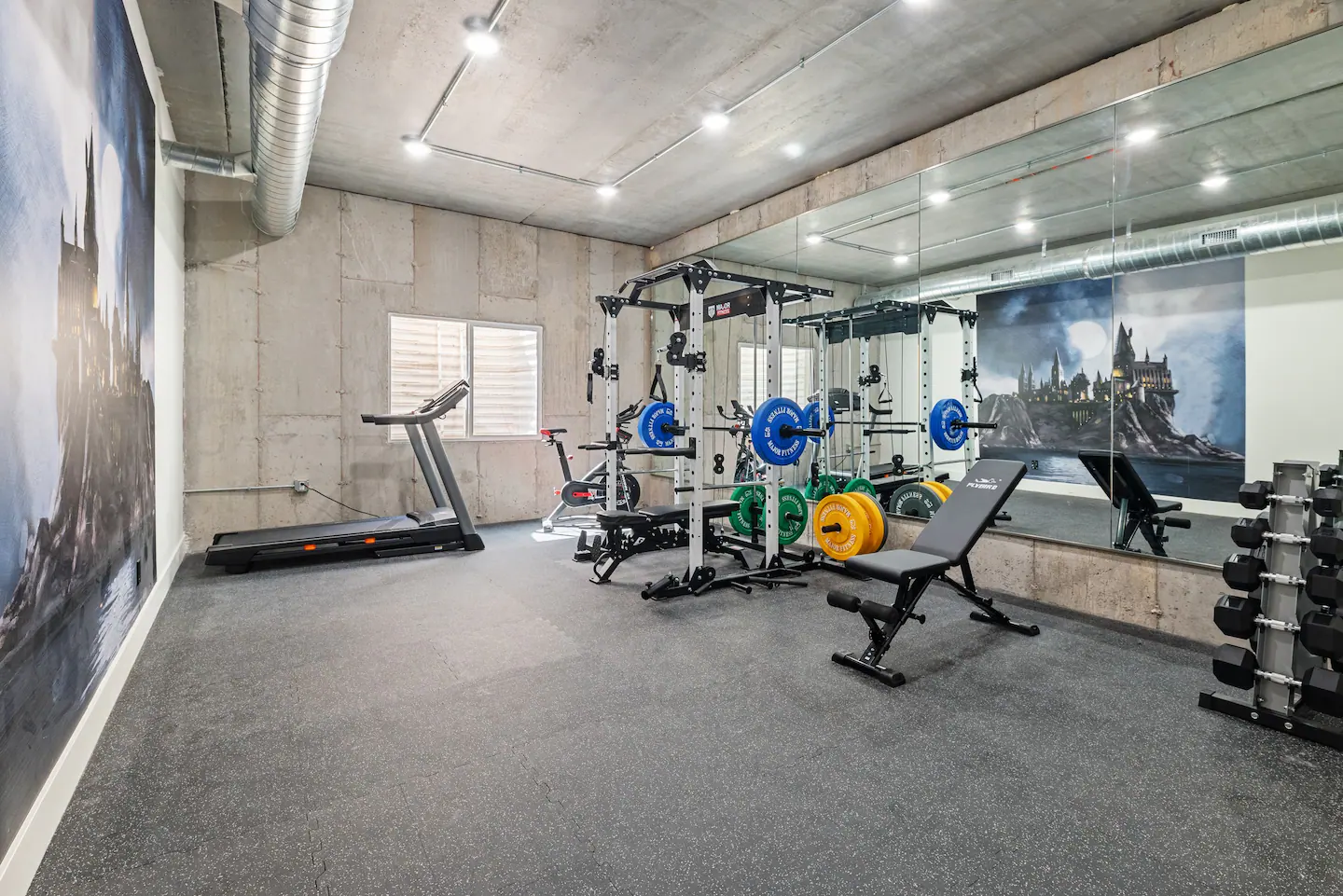 A home gym from a custom designed home, styled after Harry Potter.