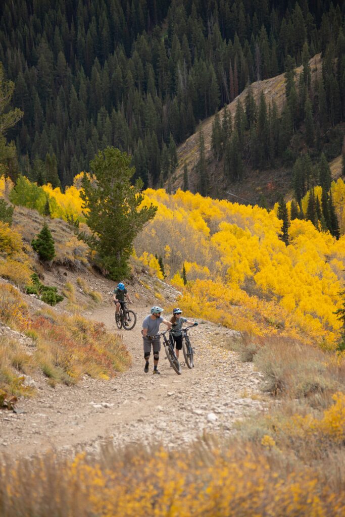 Bikers climbing up a mountain during fall.