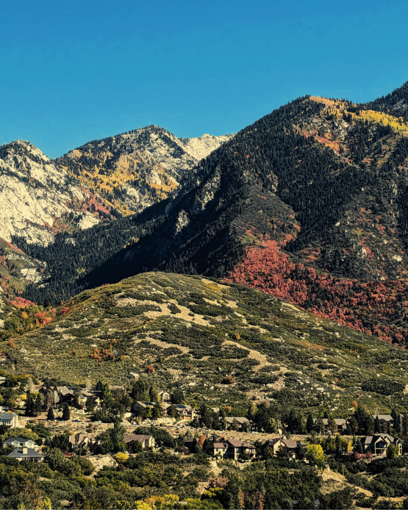 Neighborhood in Alpine, Utah.