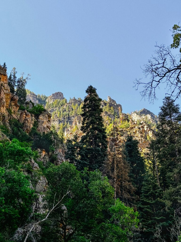 American Fork Canyon, near Alpine, Utah.