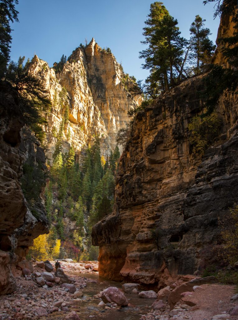 Scenic canyon view near Cedar City with red rock cliffs and clear blue sky