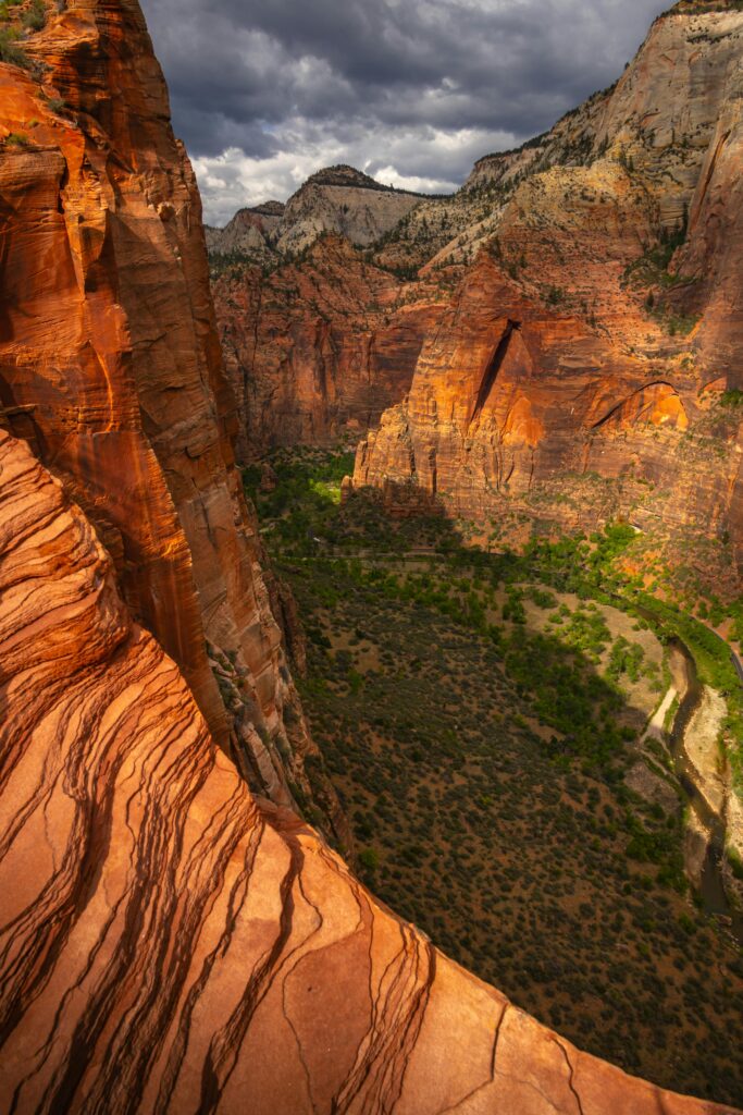 Dramatic red sandstone cliffs and lush canyon floor at Zion National Park under a clear blue sky