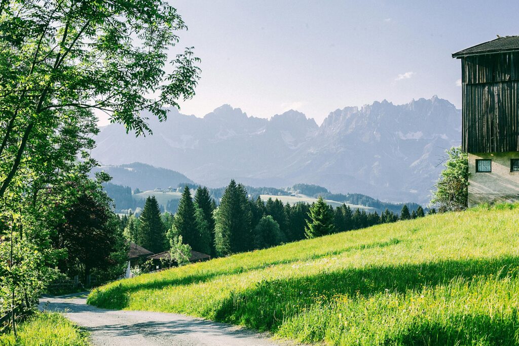 Green field for sale in Utah for house building.