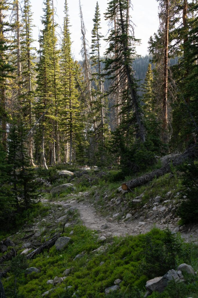 Hiking trails in the mountains by Kamas, Utah